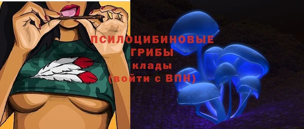 марки nbome Каменка
