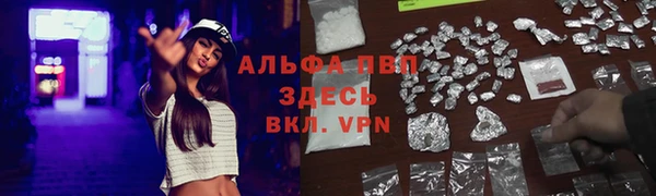 круглые Каменногорск