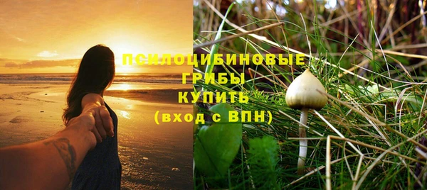 круглые Каменногорск